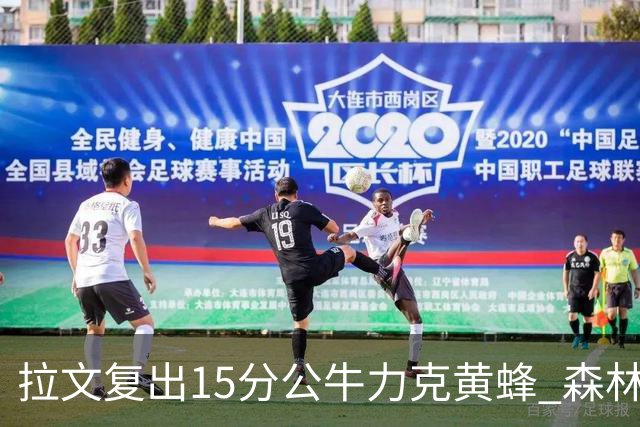 拉文复出15分公牛力克黄蜂 森林狼大胜火箭